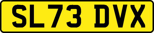 SL73DVX