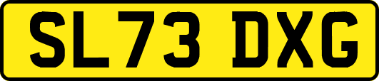 SL73DXG