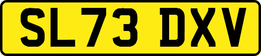 SL73DXV