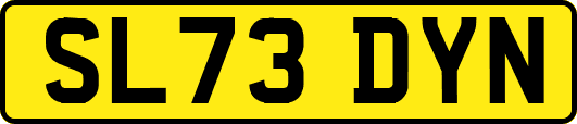 SL73DYN