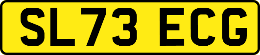 SL73ECG