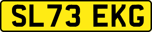 SL73EKG