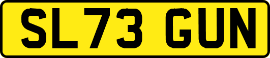 SL73GUN