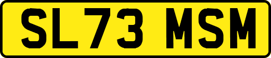 SL73MSM
