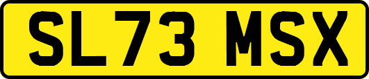 SL73MSX
