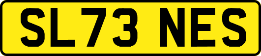 SL73NES