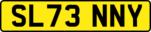 SL73NNY
