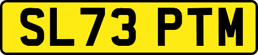 SL73PTM