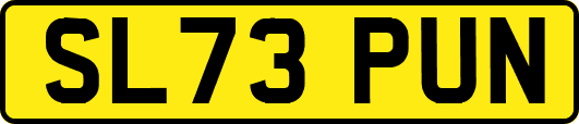 SL73PUN