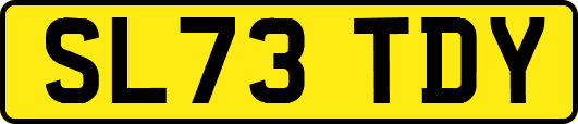 SL73TDY