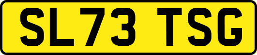 SL73TSG