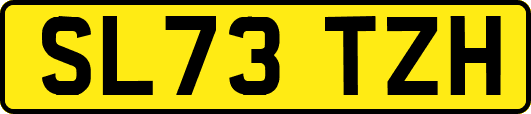 SL73TZH