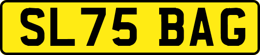 SL75BAG