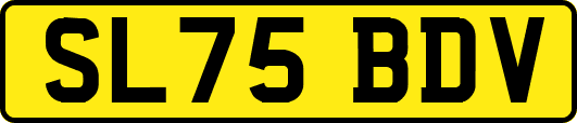 SL75BDV