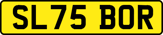SL75BOR