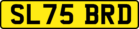 SL75BRD