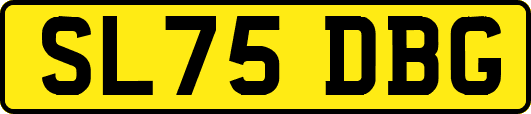 SL75DBG