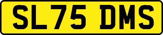 SL75DMS