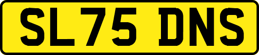 SL75DNS