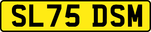 SL75DSM