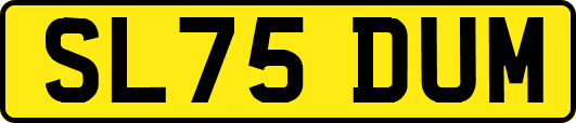 SL75DUM
