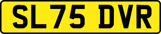 SL75DVR
