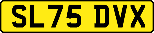 SL75DVX