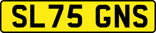 SL75GNS
