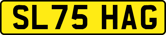SL75HAG