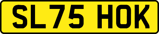 SL75HOK