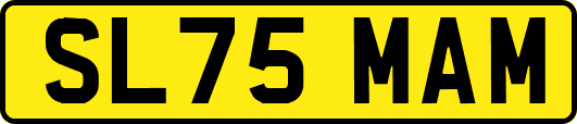 SL75MAM