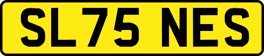 SL75NES
