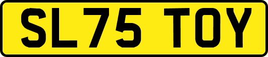 SL75TOY