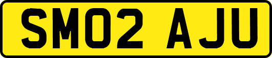 SM02AJU