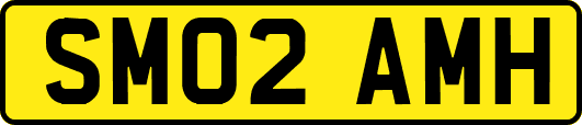 SM02AMH