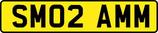 SM02AMM