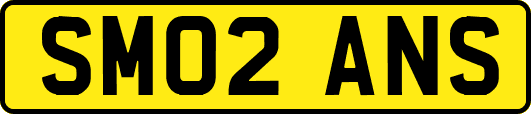 SM02ANS