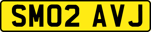 SM02AVJ