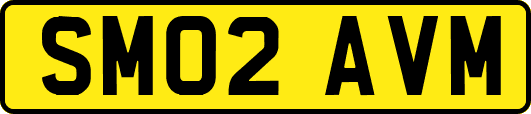 SM02AVM