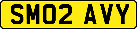SM02AVY