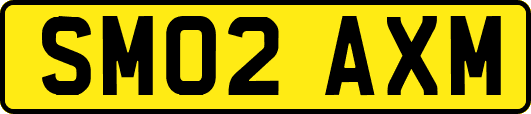 SM02AXM