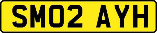 SM02AYH