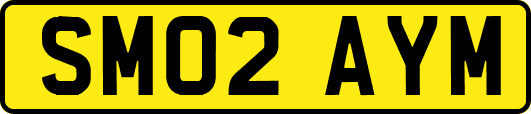 SM02AYM