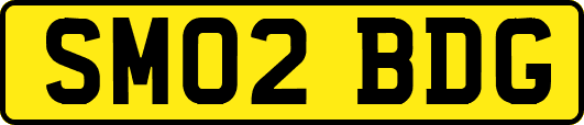 SM02BDG