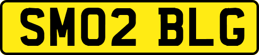 SM02BLG