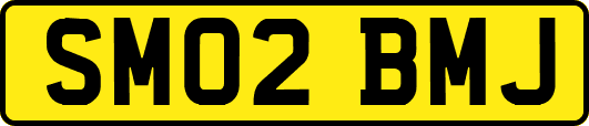 SM02BMJ