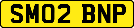 SM02BNP
