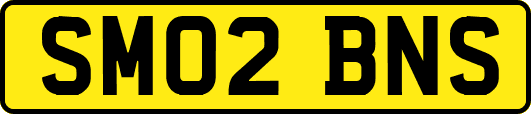 SM02BNS