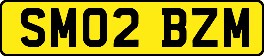 SM02BZM