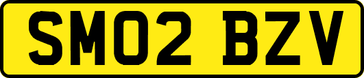 SM02BZV